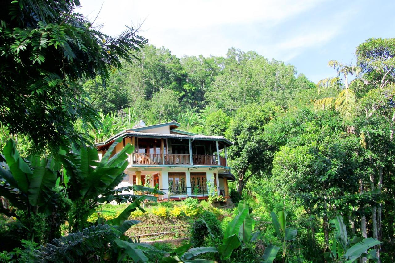 Blue Ribbon Homestay Ella Kültér fotó